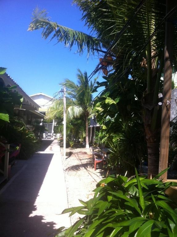 Cooper'S Inn Utila Ruang foto