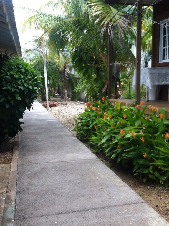 Cooper'S Inn Utila Ruang foto